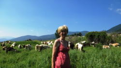 Ферма в Рашково опазва автентичните български породи