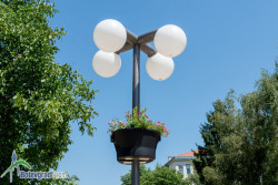Саксии с каскадна растителност по осветителните стълбове в Ботевград