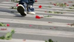 16 ноември - Ден без пешеходци - жертви на пътя