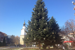 Монтират коледно-новогодишната украса в центъра на Ботевград 