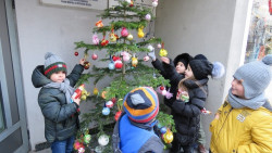 Коледното дърво в Областната администрация грейна, украсено с играчки, изработени от мъниците от детските градини в Ботевград