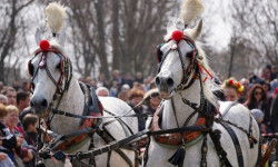 Днес е Тодоровден! Честит Конски Великден!