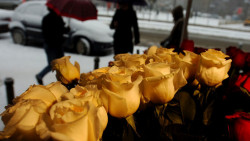 Местни търговци на цветя се обявиха против временен пазар на 8-ми март 