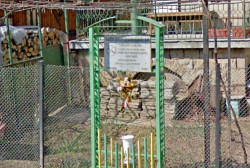 Васко Чавдаров по повод 139 години от рождението на Александър Стамболийски: И днес има нужда от теб, както по онова време  