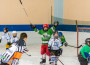 Чудесен Ден на хокея на пързалката в Ботевград /снимки/