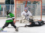 Чудесен Ден на хокея на пързалката в Ботевград /снимки/