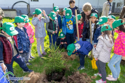 Деца от ДГ „Славейче“ се включиха в инициативата „Седмица на гората 2018“