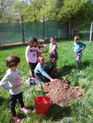 Деца от ДГ „Детелина” във Врачеш засадиха четири дръвчета в двора на детското заведение