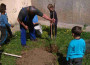 Деца от ДГ „Детелина” във Врачеш засадиха четири дръвчета в двора на детското заведение
