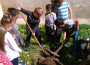 Деца от ДГ „Детелина” във Врачеш засадиха четири дръвчета в двора на детското заведение