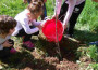 Деца от ДГ „Детелина” във Врачеш засадиха четири дръвчета в двора на детското заведение