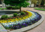 14 000 растения в цветните композиции, красящи централната част на Ботевград