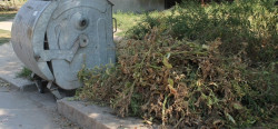 Община Етрополе организира извозване на растителни и градински отпадъци
