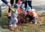 Поредна доброволческа екоинициатива на ДГ „Славейче“