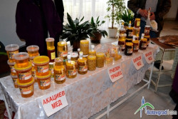 В Ботевград ще се проведе информационна среща „Иновации в пчеларството”