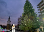 С настроение и фойерверки запалиха празничните светлини на елхата в Ботевград