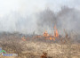 Горят треви и храсти край Боженица