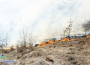 Горят треви и храсти край Боженица