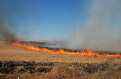 РСПБЗН - Правец: Опасност от пожари в житните масиви