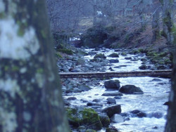 Община Ботевград актуализира за своя сметка проекта за корекция на речните корита в Трудовец