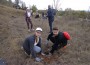Ученици от ППМГ „Акад. проф. д-р Асен Златаров" участваха в залесителна кампания в Сърбия