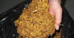 МВР-Етрополе конфискува нарязан тютюн, без акцизен бандерол