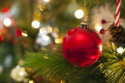Община Ботевград стартира благотворителната кампания „Сподели Коледа“