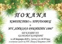 Коледен концерт и базар организират в Трудовец на 20 декември