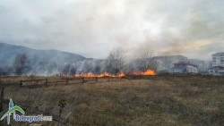 Горят няколко декара сухи треви и храсти