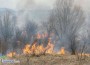 Горят няколко декара сухи треви и храсти