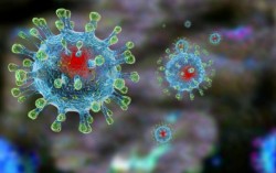 Колко дълго оцелява коронавирусът върху различни повърхности?