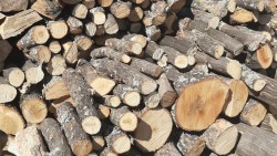 Дърва за огрев без марка и документи са установени през празничните дни в Новачене и Скравена