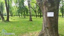 Третират зелените площи срещу кърлежи