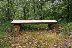 Пейки по пътя за местността “Стубеля“