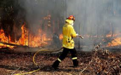 Опазване на земеделските земи, реколтата и горите от пожари