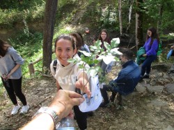 Продължават дейностите по проект „За всеки спасил дърво“ с участието на местни гимназисти и техни връстници от Ниш