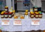 С водосвет и пожелания за по-добра реколта от мед откриха изложението на пчелни продукти 