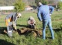 Община Етрополе и Група ГЕОТЕХМИН  засадиха 100 дървета