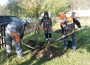 Община Етрополе и Група ГЕОТЕХМИН  засадиха 100 дървета