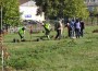 Община Етрополе и Група ГЕОТЕХМИН  засадиха 100 дървета