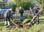 Община Етрополе и Група ГЕОТЕХМИН  засадиха 100 дървета