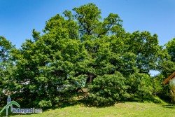 Стартира кампанията "Чиста околна среда - 2021 г“