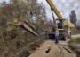 Ремонтират моста над река Капичевски дол, свързващ селата Елов дол и Боженица