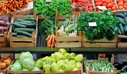 НА СЛЕДВАЩИЯ ПАЗАР - САМО ЗЕМЕДЕЛСКО ПРИЗВОДСТВО