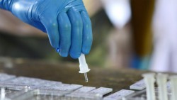 11 новозаразени с коронавирус в община Ботевград