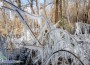 Ниските температури сътвориха ледена „арт инсталация“