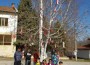 В Радотина украсиха дърво с мартеници