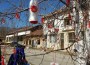 В Радотина украсиха дърво с мартеници