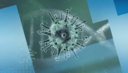 15 новодиагностицирани с коронавирус в община Ботевград за последните 3 дни
