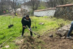 Доброволци почистиха и озелениха двора на църквата в Рашково